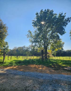 Cré-sur-Loir et balade apaisante dans un cadre bucolique - Charlotte - 4