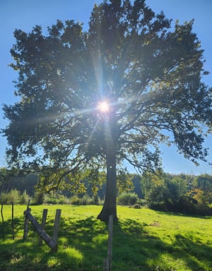 Cré-sur-Loir et balade apaisante dans un cadre bucolique - Charlotte - 3