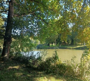 Lezoux-Ornon - Matthieu - 2