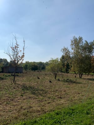 Entre bois et rigoles de Vauhallan - Audrey - 3