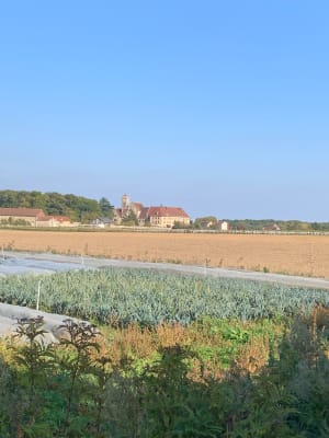 Entre bois et rigoles de Vauhallan - Audrey - 5
