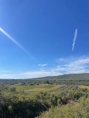 Collines de la Moure et huîtres de l'étang de Thau - Jennyfer - 3