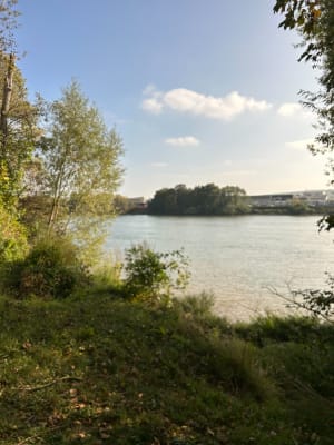 Île de la Requête en bord de Seine - Denis - 8