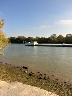 Île de la Requête en bord de Seine - Denis - 7