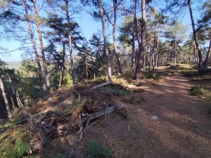 Ronde à vélo - Stephan - 3