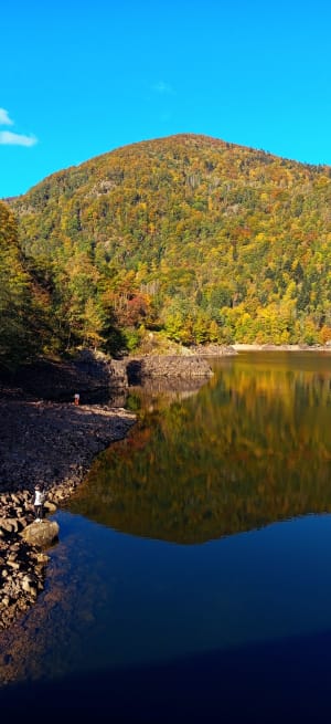 Boucle aux Lac d Alfeld et Lac des Perches - France - 6