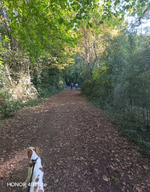 Balade du Moulin-Guérin par la Garatière - Sandrine - 3