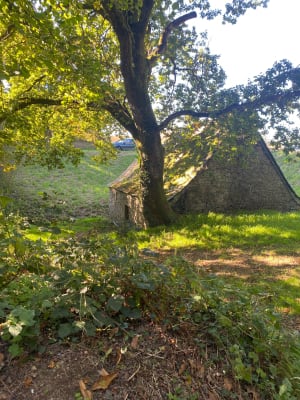 Petit chemin des Moulins - Marion - 3