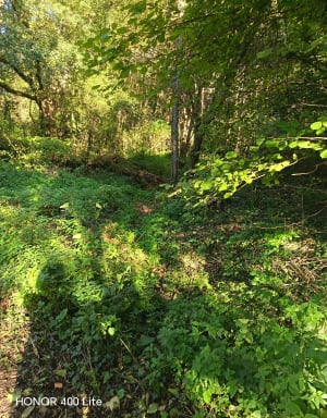 Balade du Moulin-Guérin par la Garatière - Sandrine - 5