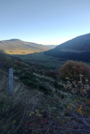 Le puy de Peyre Arse par les crêtes - Alzira - 8