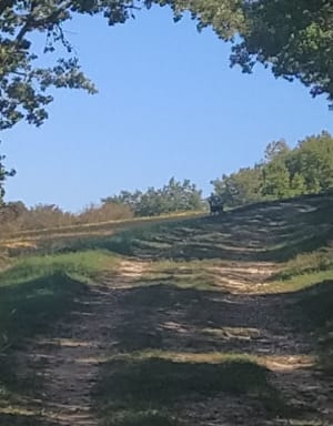 Suivre les chemins blanc jusqu'au ciel - Jean - 3