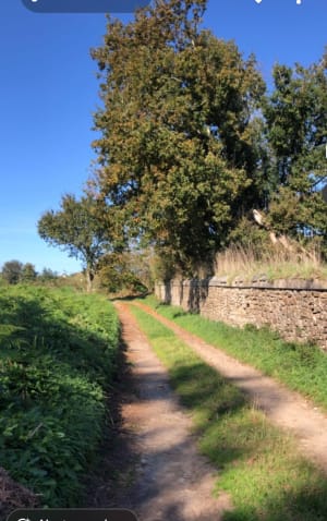 Sortir sur La Roche Maurice - Maryline - 4
