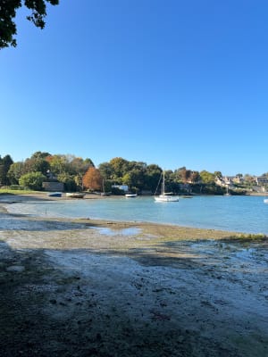 Le Minihic-sur-Rance - Manon - 6