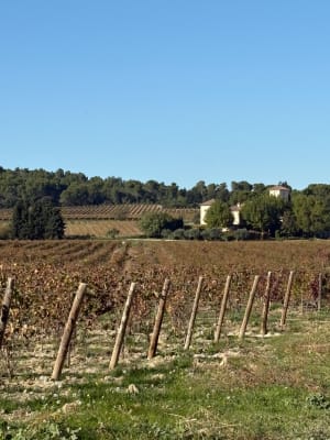 Coline Vaucroze et Vignobles à Sorgues - Alexia - 6
