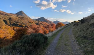 Klim naar de Col de Cabre en kom moeflons en marmotten tegen - PATRICK - 6