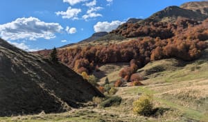 Klim naar de Col de Cabre en kom moeflons en marmotten tegen - PATRICK - 9