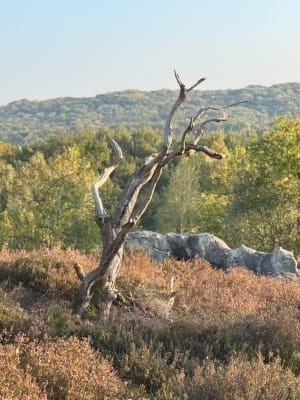 La Hottée du Diable et le géant - ludiwine - 7