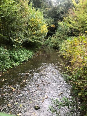 Circuit du bois de Groez par Libotte - Nicolas - 3