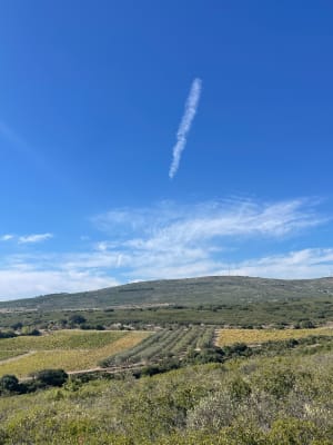 Collines de la Moure et huîtres de l'étang de Thau - Jennyfer - 2