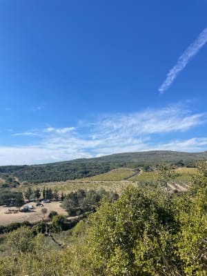 Collines de la Moure et huîtres de l'étang de Thau - Jennyfer - 5