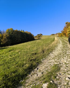 Beklimming van de Mont Pelat en de Mont Morbié vanuit La Correrie - Ana Laureth - 3