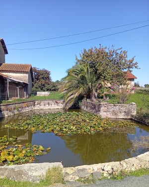 Balade sur les  hauteurs Sanilhac - Mylène - 3