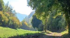 Hauteurs du lac de Paladru et se sentir loin du monde - Hai - 3