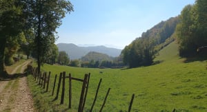 Hauteurs du lac de Paladru et se sentir loin du monde - Hai - 5