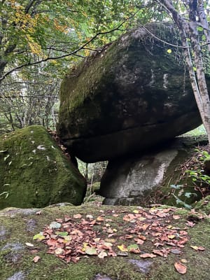 Magnifique randonnée sur le sentier découverte autour de Guéret - CAROLINE - 3