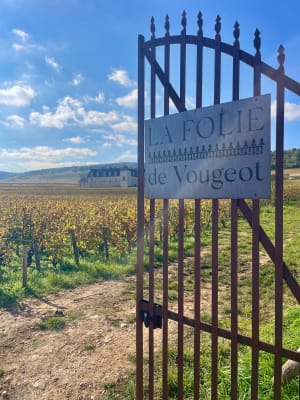 La côte dorée du Clos Vougeot à Morey-Saint-Denis - Alain - 13