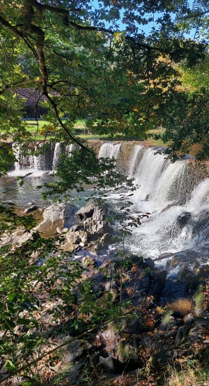 Des gorges de l'auvezere aux forges de Savignac Lédrier - Jean Claude - 7