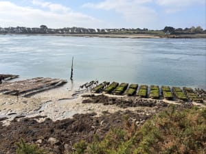Ria d'Etel et Île de Saint Cado - Sophie - 6