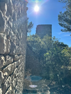 Château de Séguret - virginie - 9