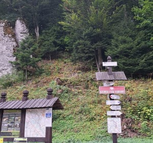 Ojcowski Park - Bogumiła - 3
