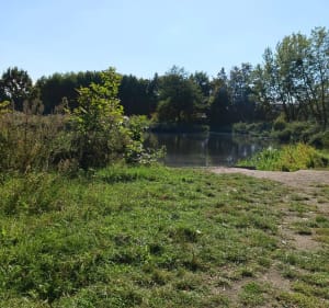 Kamieńskiego-Żmigrodzka-Obornicka-Żmigrodzka-Kamieńskiego - Marta - 3