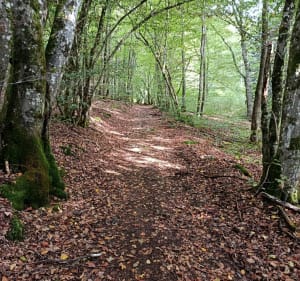Boucle depuis Planchers-Bas ( 70) - Mapie70 - 2