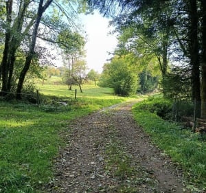 Boucle depuis Planchers-Bas ( 70) - Mapie70 - 3