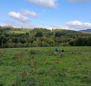 Boucle depuis Planchers-Bas ( 70) - Mapie70 - 4