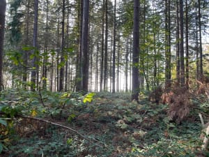 Dans la vallée du Bec-Hellouin et écrin de verdure - caroline - 2