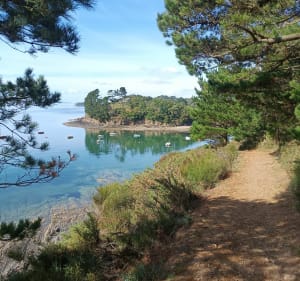 Le tour de Logonna Daoulas - Aurore - 3