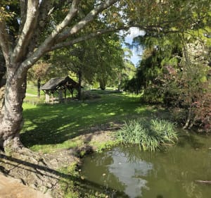 Un tour de l'erdre ! - Nantes - 3