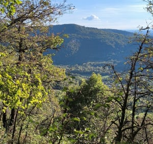 Lac bleu, puis château Saint Germain et site d'escalade - Ambérieu-en-Bugey - 2