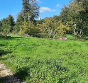 Balade de l'Oseraie, à Fayl-Billot - CAROLINE - 4