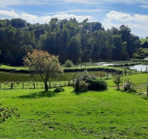Balade de l'Oseraie, à Fayl-Billot - CAROLINE - 3