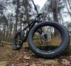 Kampinos Karpaty tam i z powrotem - KAMIL - 2