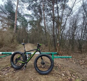 Kampinos Karpaty tam i z powrotem - KAMIL - 3