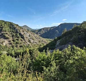 De la Dalle aux ammonites au ruine du Givaudan - Nathalie - 5