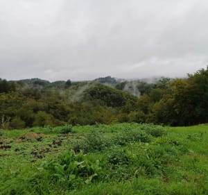 Parcours marche trail vtt vers Argentat sur Dordogne - frederic - 4