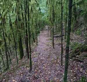 Parcours marche trail vtt vers Argentat sur Dordogne - frederic - 3