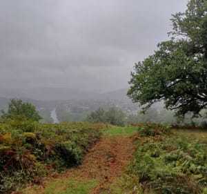 Parcours marche trail vtt vers Argentat sur Dordogne - frederic - 2